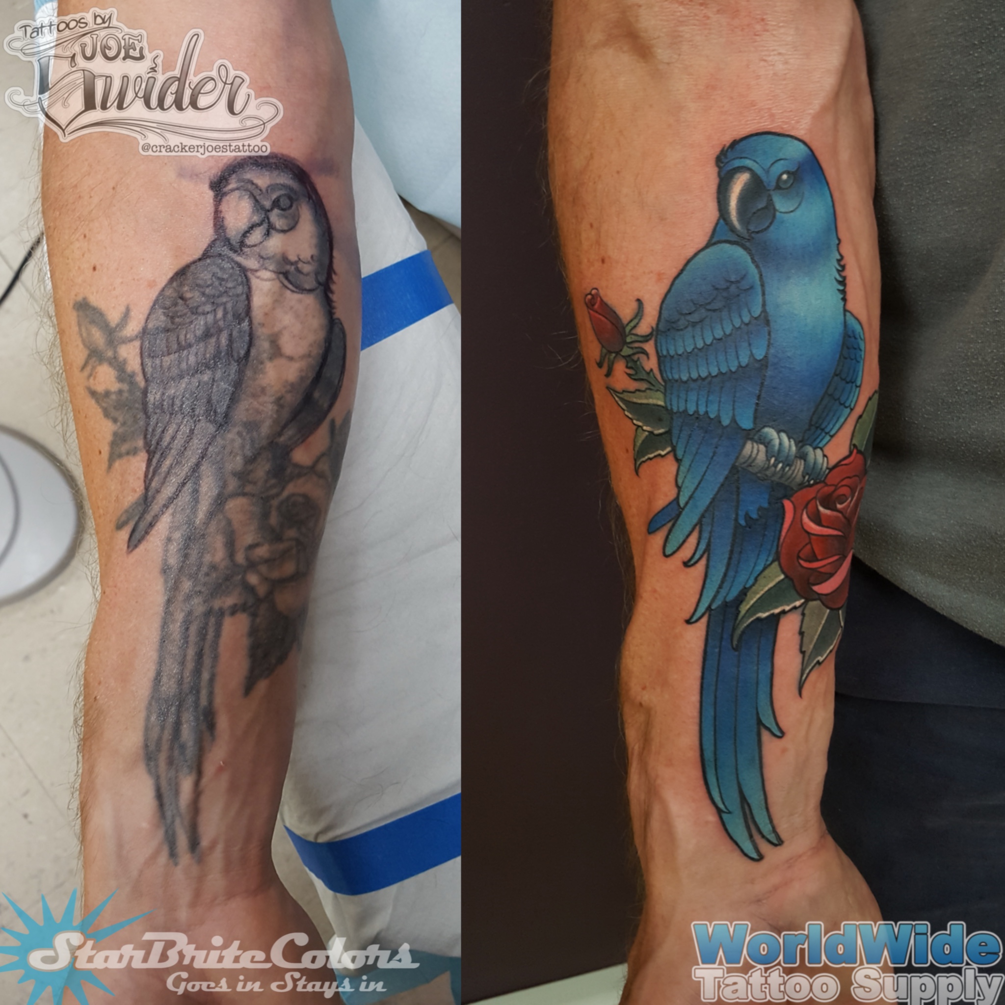 Parrot Cover Up Tattoo by Cracker Joe Swider in CT